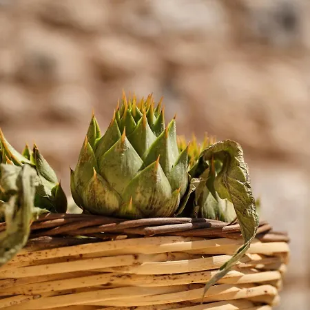 Petreas Castle Kardamyli
