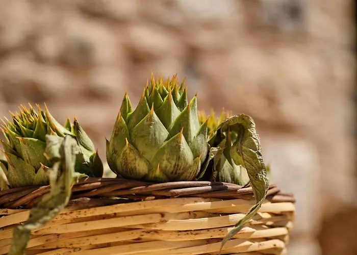 Petreas Castle Kardamyli